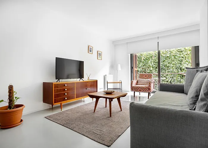 Noa - Ali Hoca 6 이스탄불